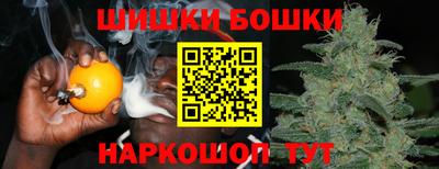 шишки Краснознаменск