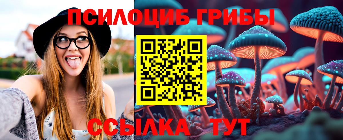 Псилоцибиновые грибы прущие грибы Каменка