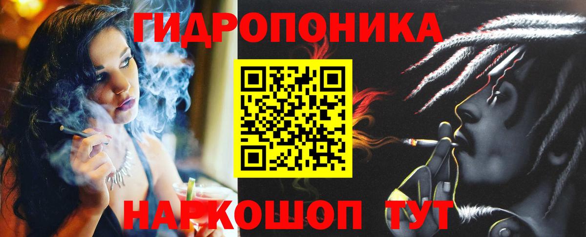 Бошки Шишки семена Каменка